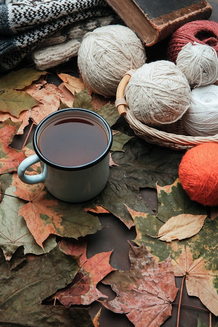 Fall Knit Crochet Ideas