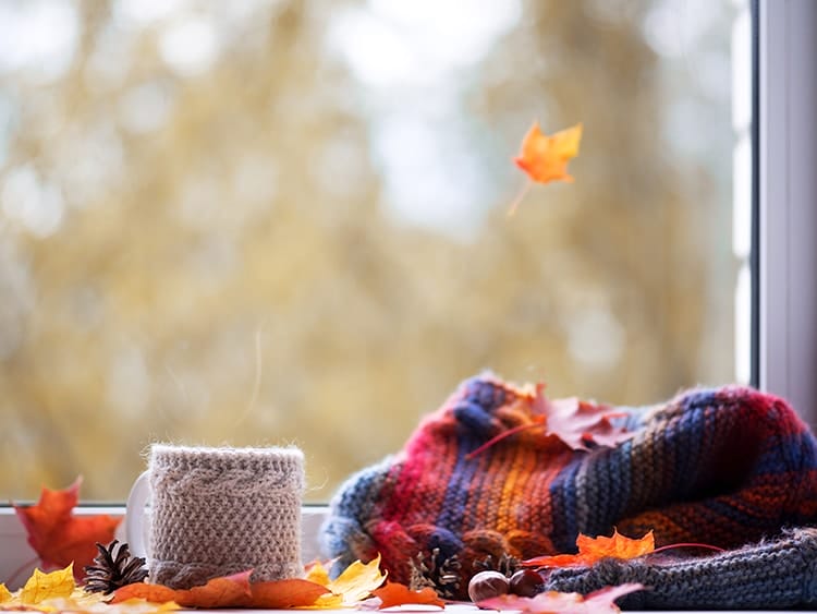 Knit Mug Coffee Cozy