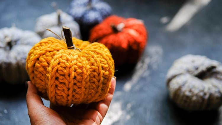 Knit Pumpkin Project